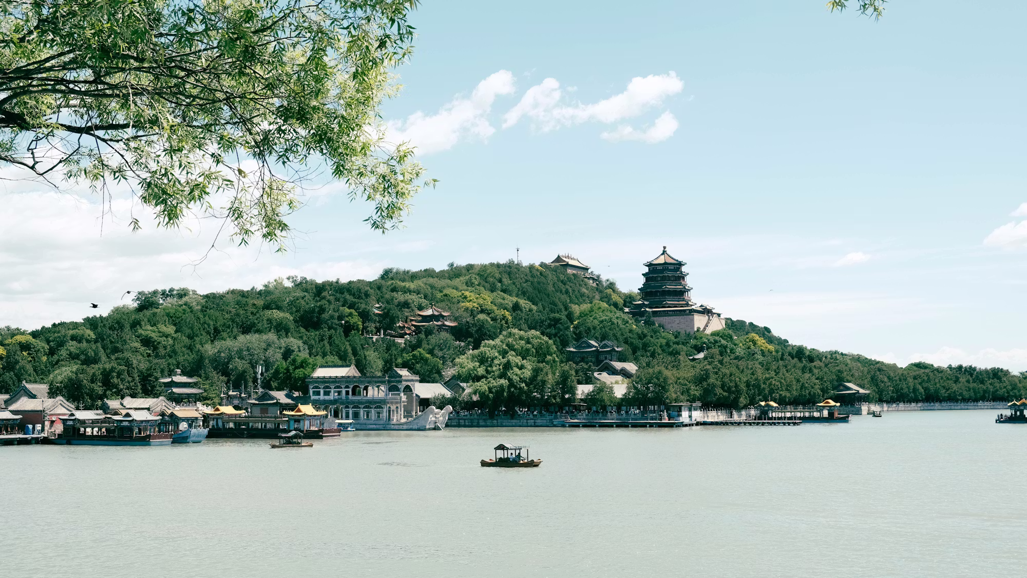 Kulinarični čudeži: raziskovanje najbolj edinstvenih živilskih trgov na svetu